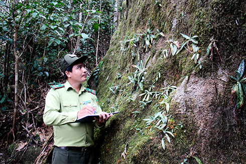 Ngắm lan trên đỉnh Hòn Bà