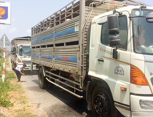 Phun thuốc khử trùng tại Trạm kiểm dịch động vật tạm thời trên Quốc lộ I ở xã Vạn Thọ, huyện Vạn Ninh.