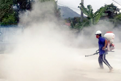 Công ty CP phun thuốc tiêu độc khử trùng trước và sau mỗi chuyến xe chở heo.