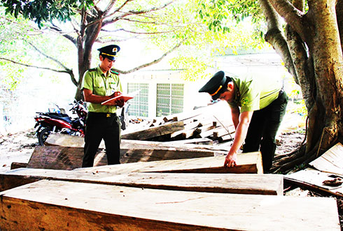 Khánh Sơn: Tịch thu hơn 23m3 gỗ xẻ hộp các loại