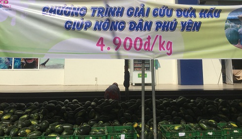 Chương trình  "giải cứu " dưa hấu cho nông dân Phú Yến với giá 4.900 đồng/kg (không lãi).