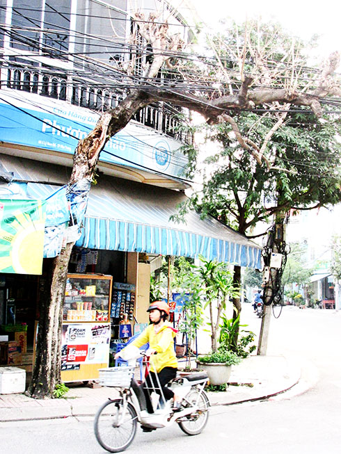 Ẩn họa từ trên cao