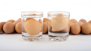5 tuyệt chiêu bảo quản trứng bạn cần biết
