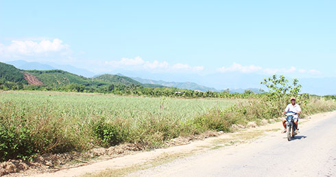 Nhiều lô đất ở xã Diên Đồng hiện có giá cao gấp 2, 3 lần so với năm 2018.