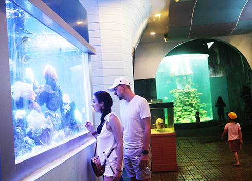 Visitors contemplating coral tank 
