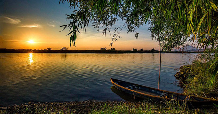 Bên trong lồng ngực