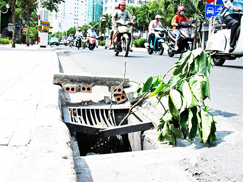 Cần thay nắp cống thoát nước