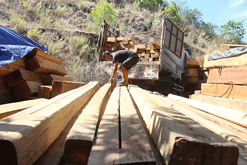 Liên tiếp bắt gỗ lậu