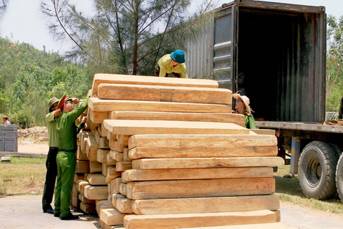 Công an tiến hành kiểm kê số gỗ nghi là hàng lậu.