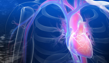 Nghiệm thu đề tài khoa học về stent tự tiêu