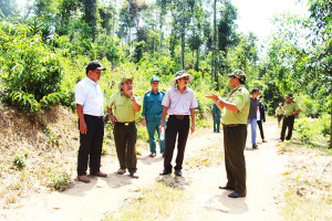 Kiểm tra công tác quản lý, bảo vệ rừng tại Khánh Vĩnh