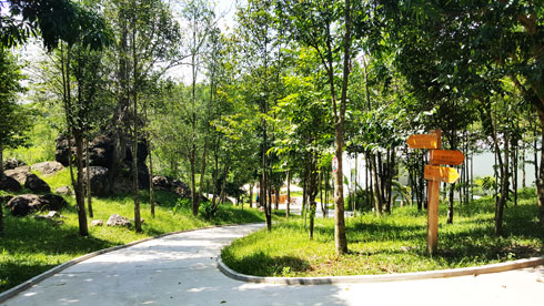 Đến Hoàng Trầm thưởng trầm