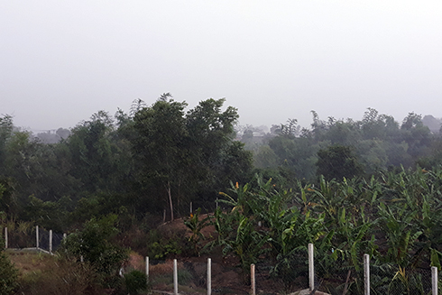 Khánh Vĩnh có cơn &quot;mưa vàng&quot;