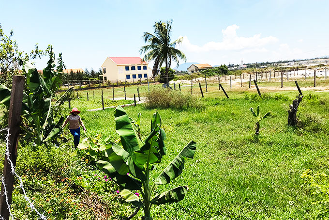 Không đủ cơ sở để cấp quyền sử dụng đất