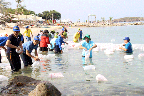 Thả hơn 550 ngàn con giống tái tạo nguồn lợi thủy sản trong vịnh Nha Trang