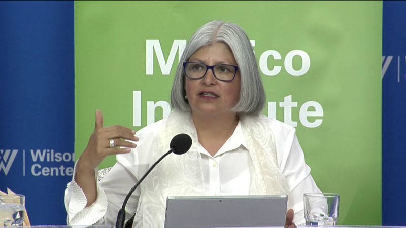 Bộ trưởng Kinh tế Mexico Graciela Marquez. (Ảnh: KT)