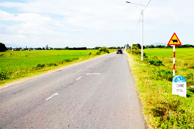 Sửa chữa Tỉnh lộ 1A