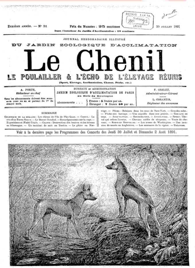 Trang báo đầu tiên viết về chó Phú Quốc: Le Chenil, số 31 ngày 30-7-1891.