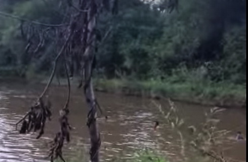 Rủ nhau tắm sông, 4 học sinh bị đuối nước