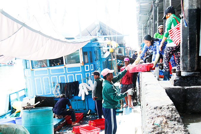 Tàu cá vi phạm vùng biển nước ngoài đã giảm