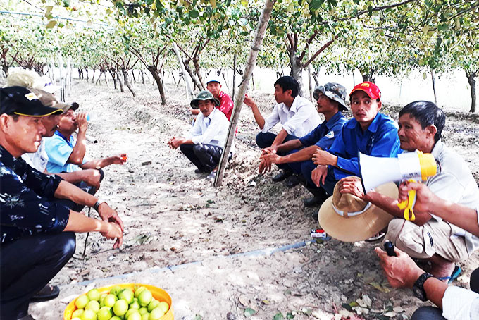 Người dân tham gia hội nghị đầu bờ mô hình trồng táo theo tiêu chuẩn VietGAP tại xã Cam Thành Nam.