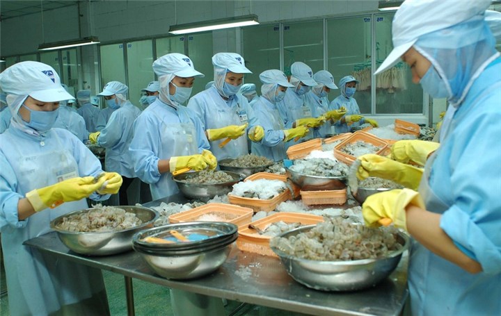 Gần 83.000 lao động trong lĩnh vực thủy sản