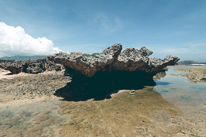 Ninh Thuận – Điểm đến "đã cơn khát" các loại hình du lịch