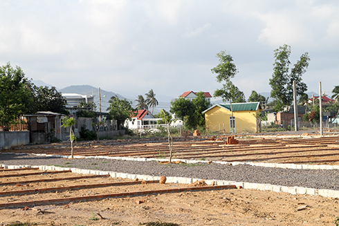 Một khu vực ở xã Vĩnh Trung (TP. Nha Trang) được chuyển đổi từ đất lúa lên đất ở rồi phân lô bán nền.