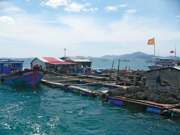 Cam Ranh: Yêu cầu di dời lồng bè nuôi trồng thủy sản ra khỏi luồng hàng hải