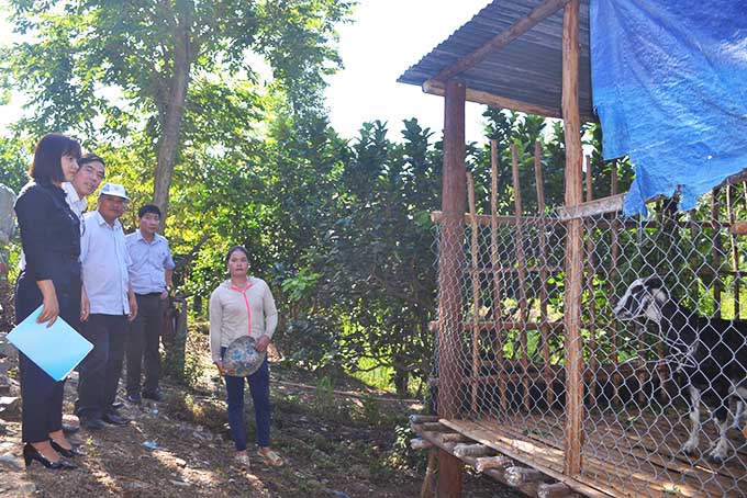 2.450 hộ nghèo, hộ cận nghèo đồng bào dân tộc thiểu số được vay vốn phát triển sản xuất