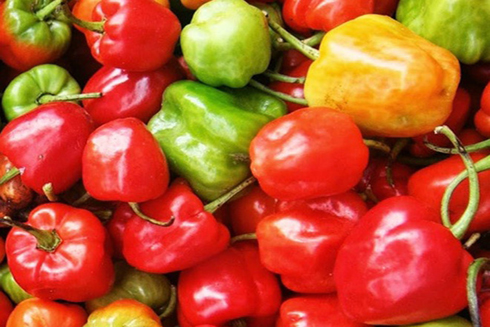 6 lợi ích sức khỏe bất ngờ từ ớt chuông