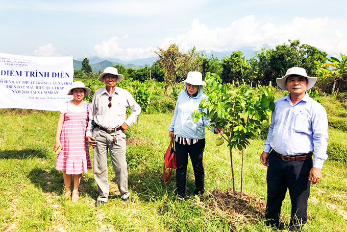 Tập huấn đầu bờ mô hình trồng cây mãng cầu Thái tại xã Ninh An.