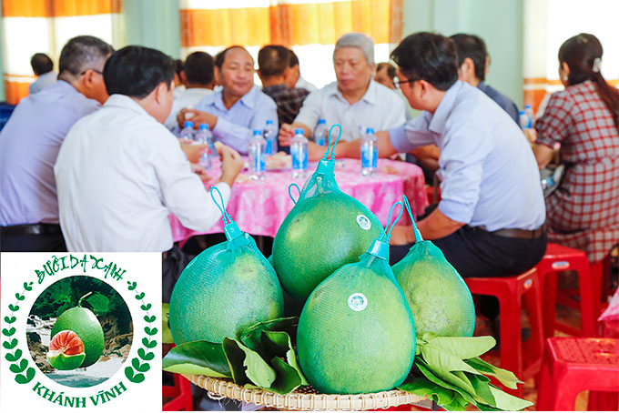 Kỳ vọng thương hiệu bưởi da xanh