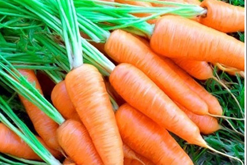 Mẹo hay giúp bảo quản rau củ quả tươi lâu trong ngày nắng nóng