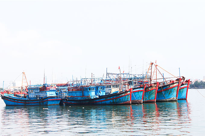 Lắp đặt thiết bị giám sát hành trình trên tàu cá