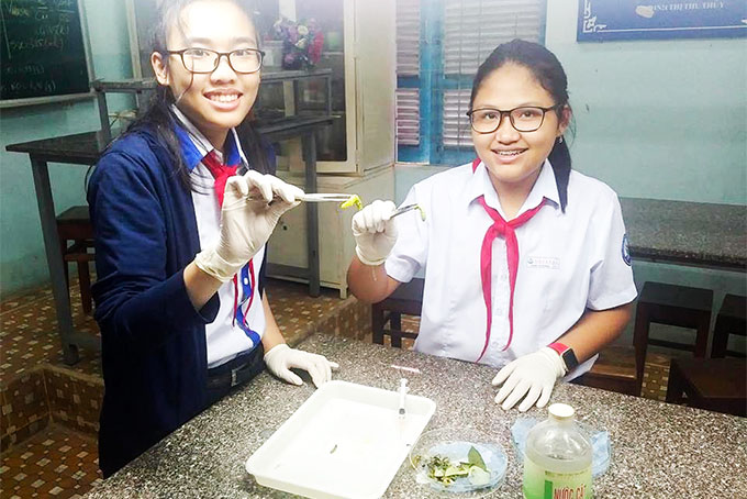 Học sinh nghiên cứu thuốc trừ sâu sinh học