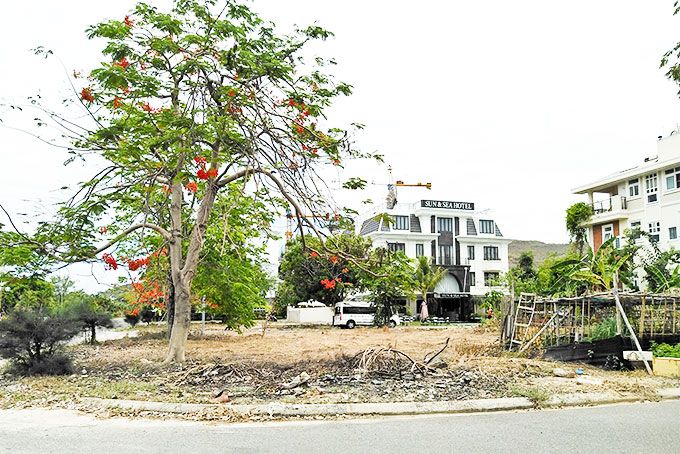 Những lô đất ở Khu đô thị biển An Viên  được đấu giá để thu hồi trừ vào số tiền mà Giang Kim Đạt phải bồi thường (ảnh lớn)