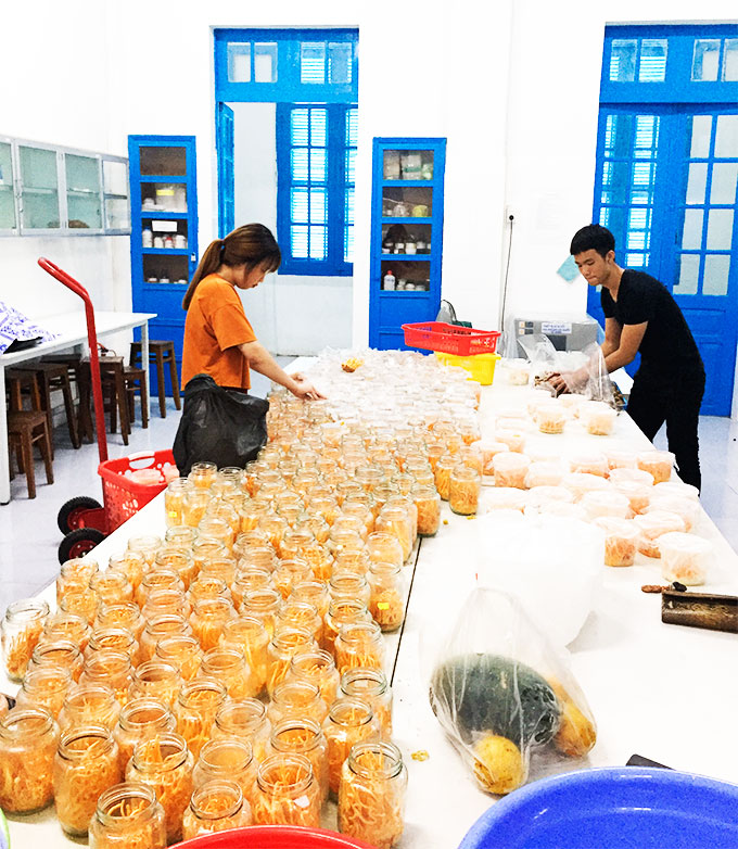 Sản xuất đông trùng hạ thảo tại Viện Công nghệ sinh học  và môi trường, Trường Đại học Nha Trang.