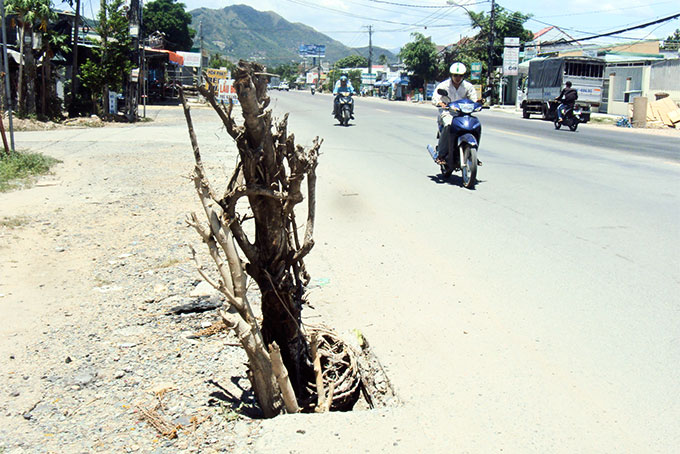 "Bẫy" trên quốc lộ