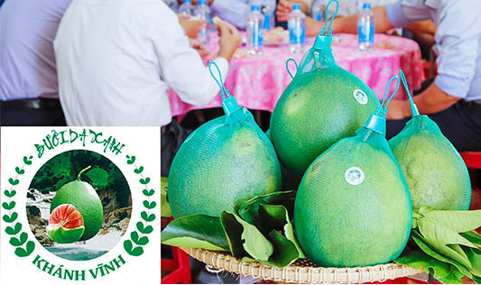 Green-skin grapefruits and their logo