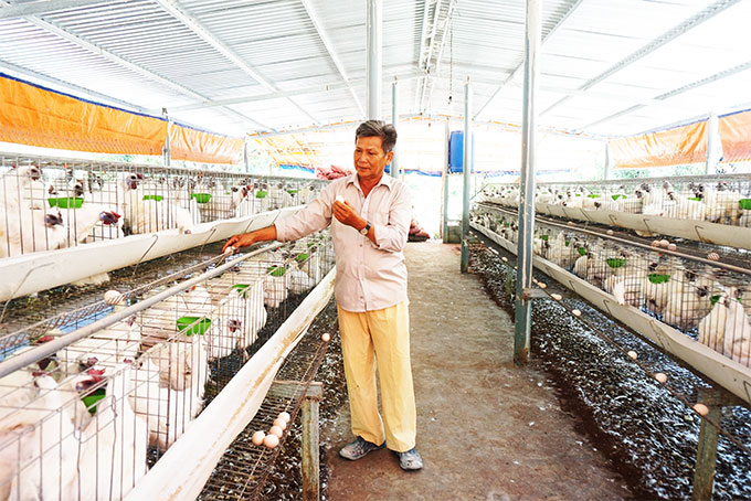 Cam Lam District People's Credit Fund: Capital channel to develop local farm products
