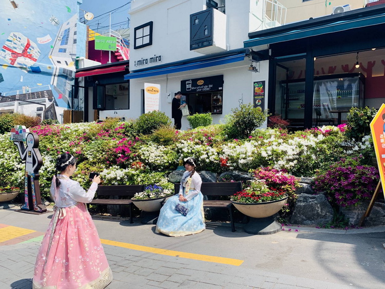  Làng văn hóa Gamcheon - một điểm du lịch nổi tiếng tại Busan