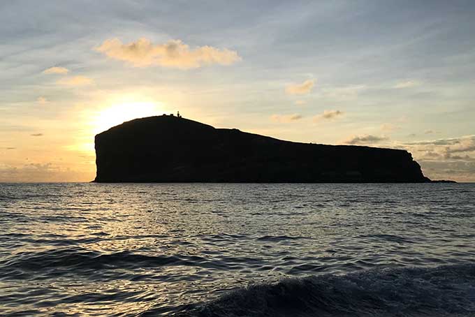 Đảo Hòn Hải mùa chim nhạn