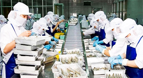 Fishery processing in Suoi Dau Industrial Zone
