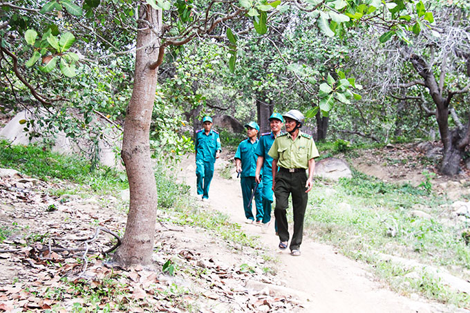 Nỗ lực giữ rừng Sơn Tân