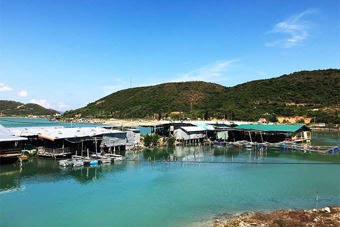 Nhà bè tự phát ở Ninh Hải