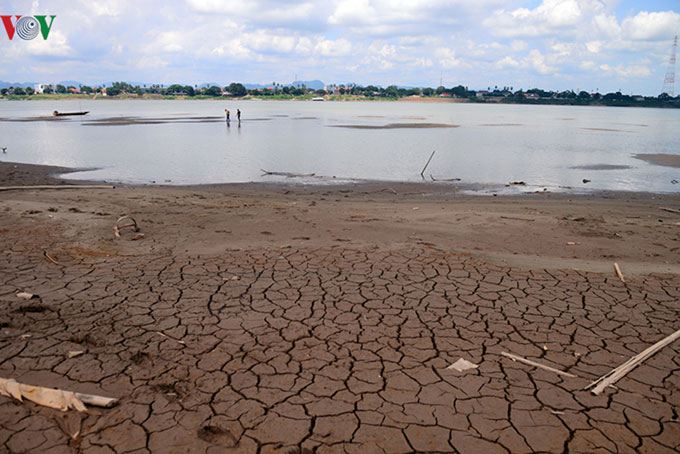 Đông Bắc Thái Lan, sông Mekong cạn trơ đáy, ngư dân khốn đốn