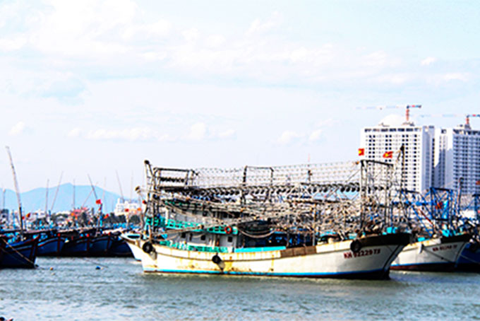 Tàu cá xa bờ đang… nằm bờ