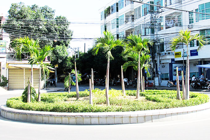 Cây xanh bị chặt phá