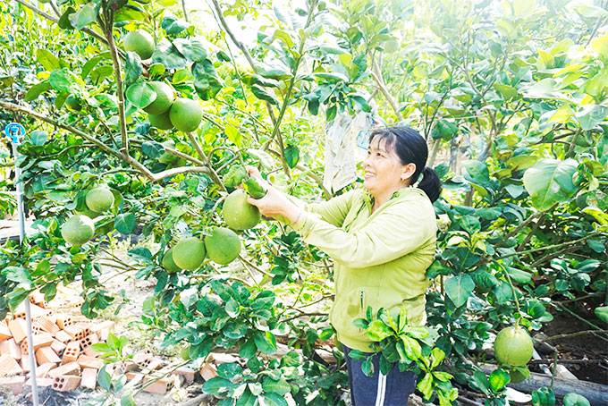 Tín dụng chính sách tạo sinh kế cho người dân